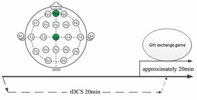 Effect of Transcranial Direct Current Stimulation of the Medial Prefrontal Cortex on the Gratitude of Individuals with Heterogeneous Ability in an Experimental Labor Market